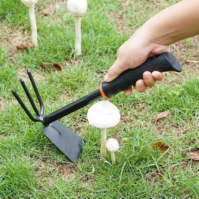 Gardening tools, small shovel, beach, sea-catching artifact set, home flower pot, planting, shovel, planting, vegetables and digging soil