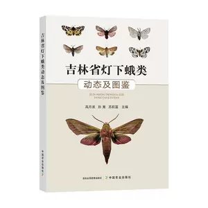 昆蟲及 新人首單立減十元 22年11月 淘寶海外