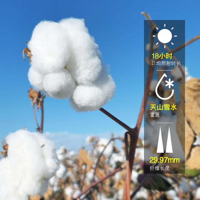 Xinjiang quilt long-staple cotton quilt cotton quilt core pure cotton quilt 100% cotton handmade cotton mattress pad quilt