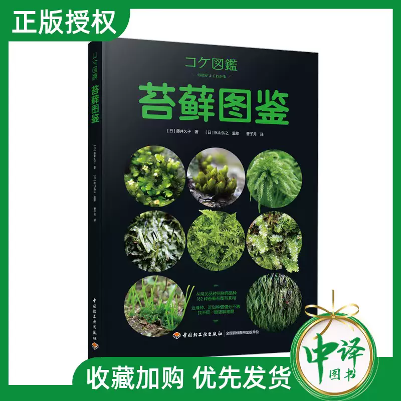 苔球花盆 新人首单立减十元 21年10月 淘宝海外