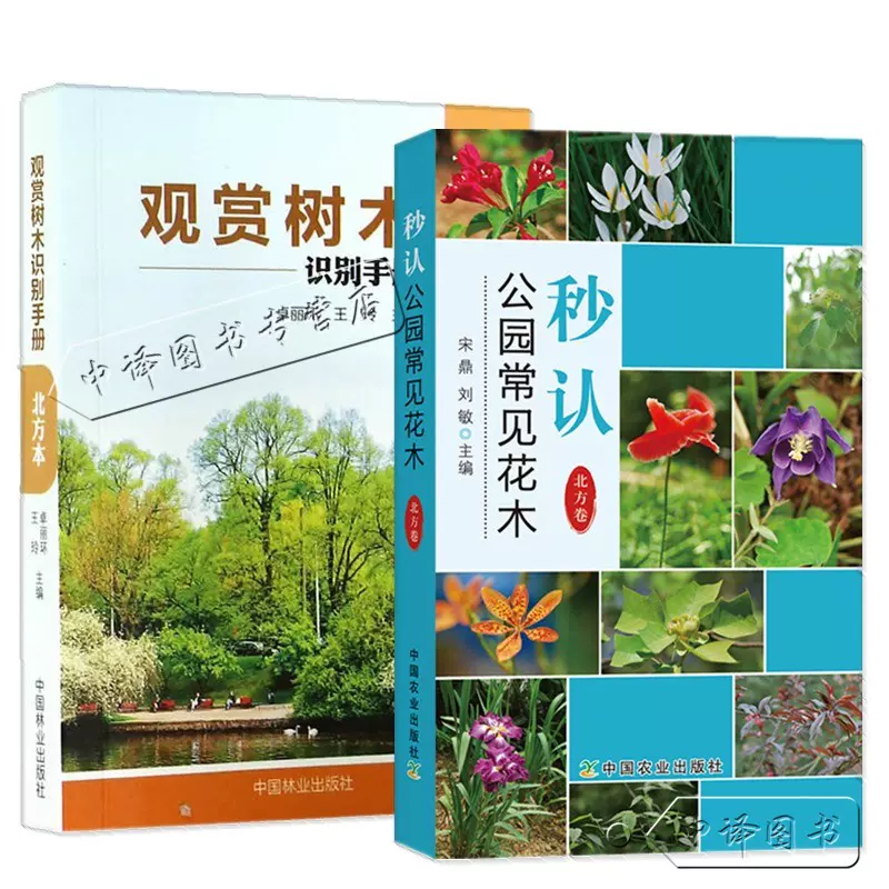树木的种类 新人首单立减十元 21年10月 淘宝海外