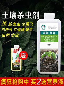 盆土杀虫 新人首单立减十元 22年10月 淘宝海外