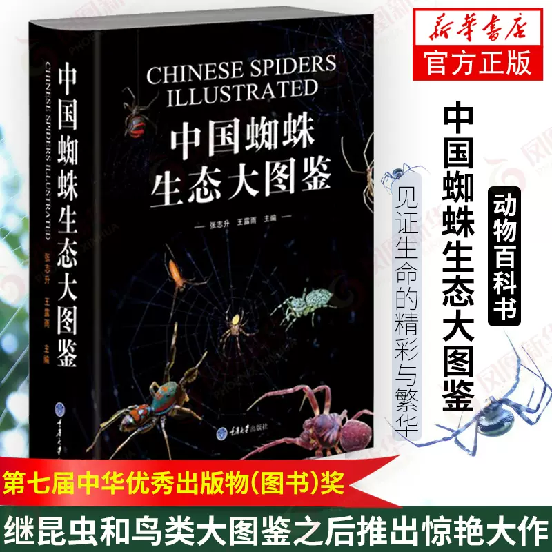 中国蜘蛛生态大图鉴昆虫图鉴蜘蛛学蜘蛛生态识别蜘蛛知识档案书动物百科71科种类达1139种蜘蛛图片昆虫科普读物书籍新华正版