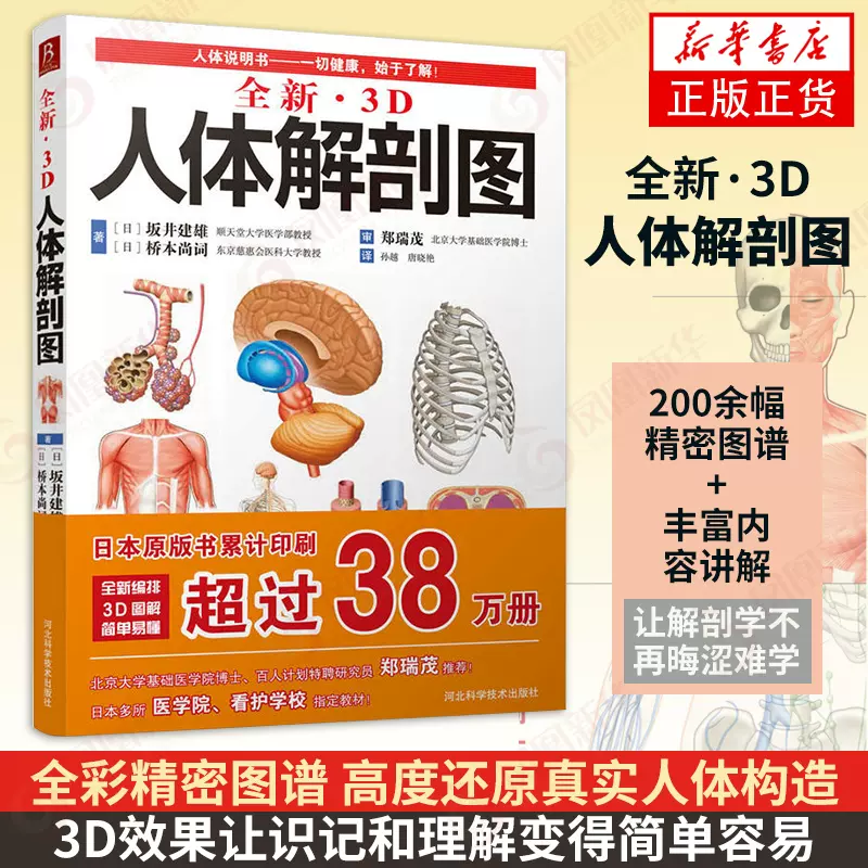 人体构造图 新人首单立减十元 21年11月 淘宝海外