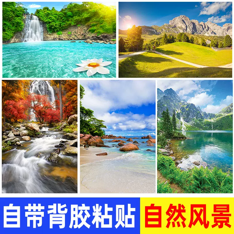 自然森林草原風景牆貼海報大海沙灘壁紙臥室客廳沙發背景裝飾畫