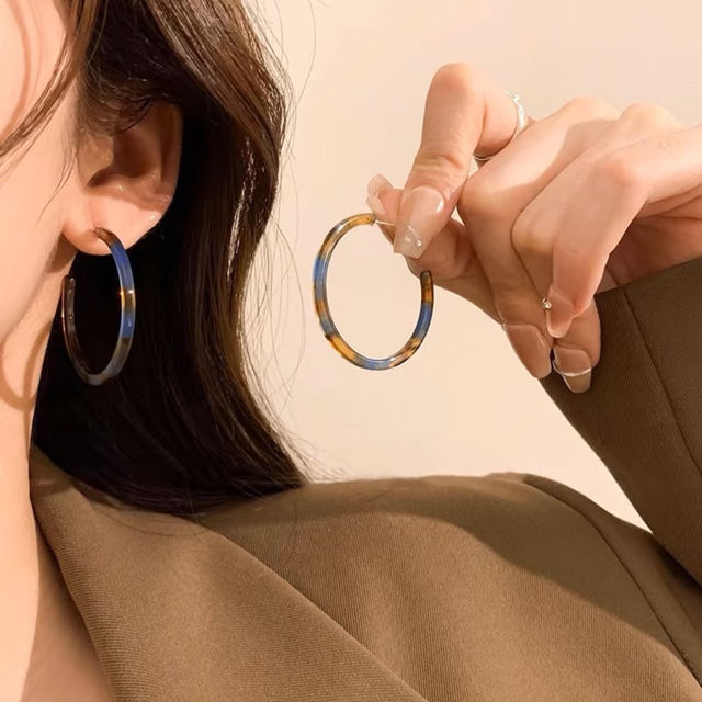 Leopard amber earrings for women autumn and winter 2025 new popular high-end earrings retro Hong Kong style large earrings hoops