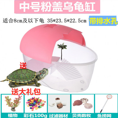 Turtle tank with a turtle turtle breeding box with a turtle breeding ...