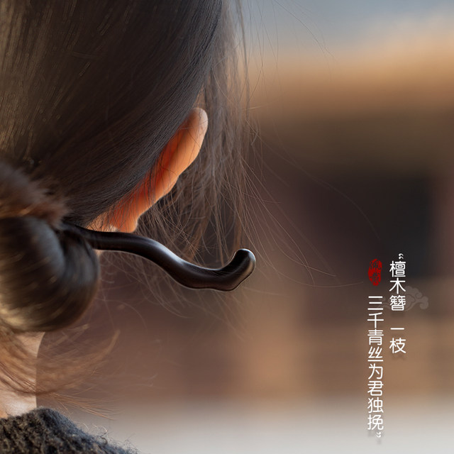Ebony hairpin for women's ancient style new Chinese style wooden hairpin daily commuting wooden hairpin 2025 new high-end hairpin