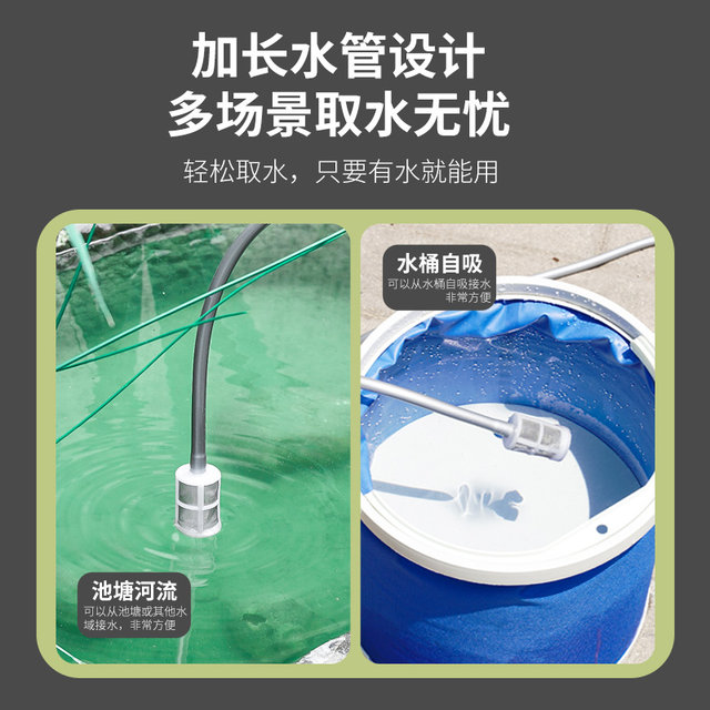 Delixi electric sprayer sprayer sprayer for agricultural sprayer pesticide sprayer small disinfection household flower watering tool