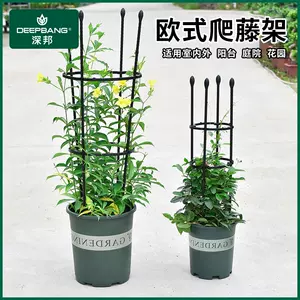 室内葡萄架花架 新人首单立减十元 22年4月 淘宝海外
