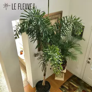 狐尾植物 Top 0件狐尾植物 22年11月更新 Taobao