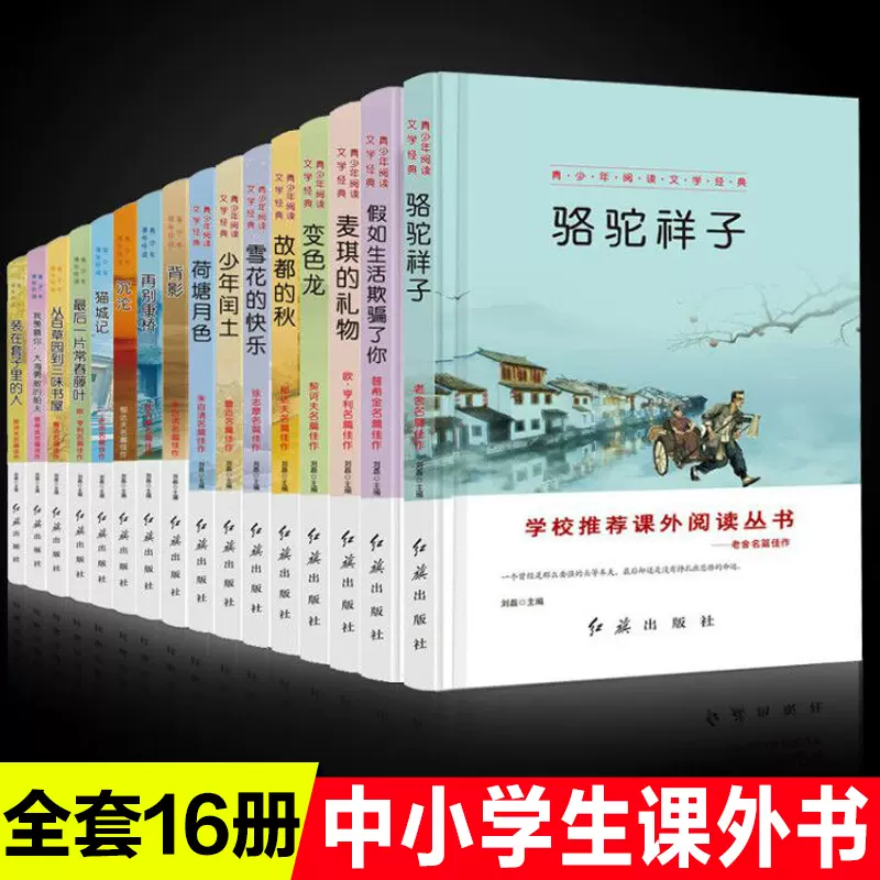 草背影 新人首单立减十元 2021年11月 淘宝海外