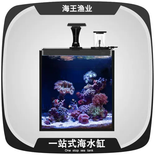 小型海水缸全套设备 新人首单立减十元 22年2月 淘宝海外