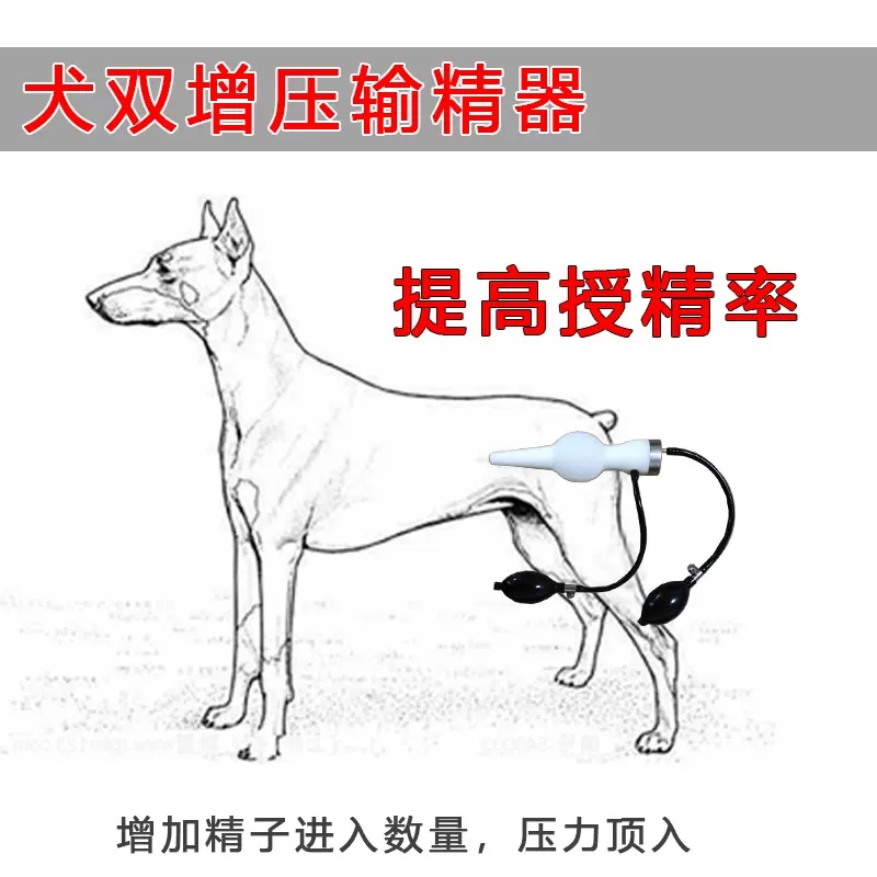 交配器 新人首单立减十元 21年11月 淘宝海外