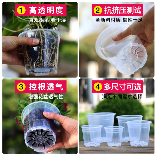 Qingshan control root basin flower pot transparent Phalaenopsis green velvet bamboo berie special thickened pots of art desktop new models