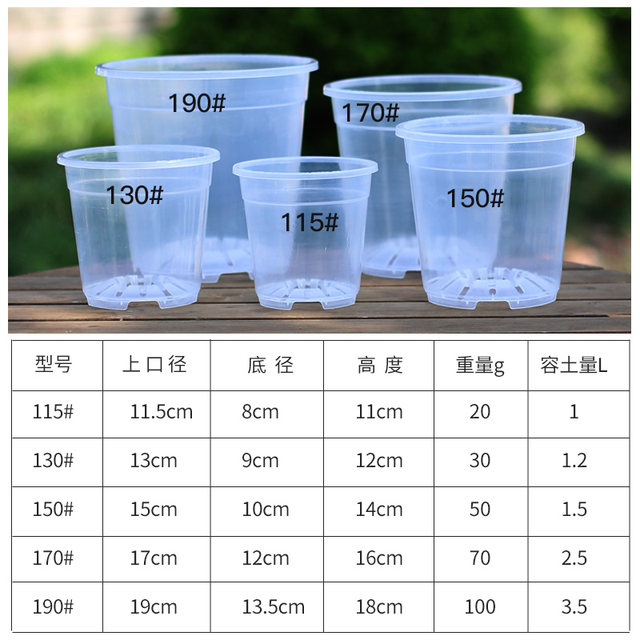 Qingshan control root basin flower pot transparent Phalaenopsis green velvet bamboo berie special thickened pots of art desktop new models