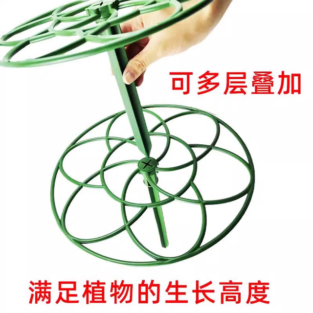 Sunflower lollipop stand flower stand crab claw orchid leaf fairy grafted multi-layer splicing green plant gardening balcony creative stand