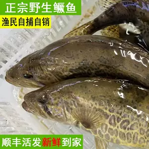 花鱼 新人首单立减十元 22年10月 淘宝海外