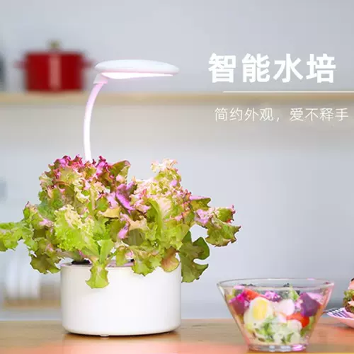 水耕栽培花盆 新人首单立减十元 22年2月 淘宝海外