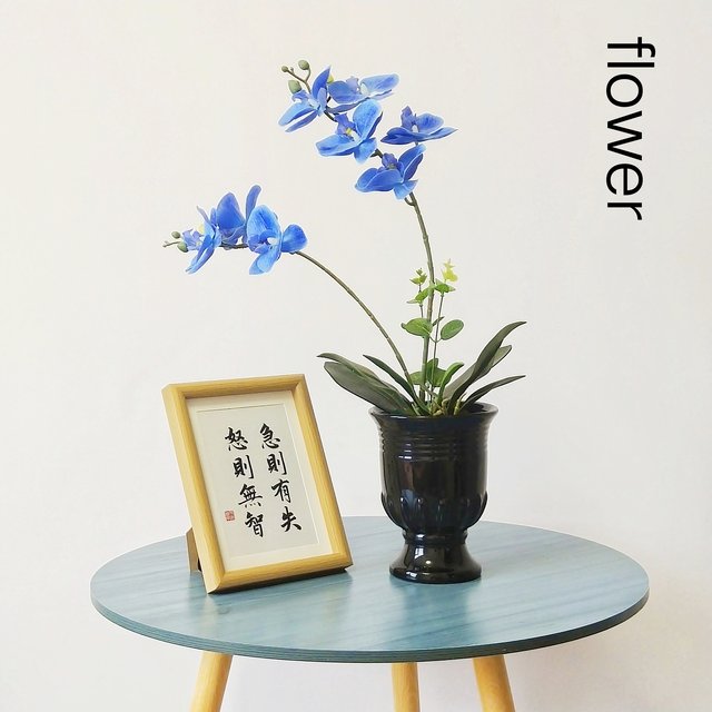 
Nordic ins style ceramic vase decoration living room flower arrangement light luxury high-end butterfly orchid flower vessel dining table home