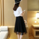 Mesh skirt for women in summer 2025 new thin high-end high-waisted and slim A-line small mid-length pleated skirt