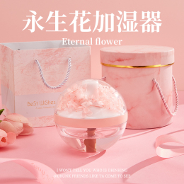 New Year Birthday Gift Girl Gives Girlfriend Girlfriend Practical High Sensory Kit Autumn and Winter Humidifier Valentines Day