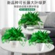 Green ivy potted house plants new house household purification air hydroponic green plants flowers long vines hanging large leaves green ivy
