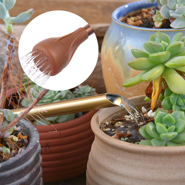 Home Succulent Pot Plant Watering Kettle Creative Long Mouth Drying Bottle Gardening European Sprinkler Retro Stainless Steel Sprinkler
