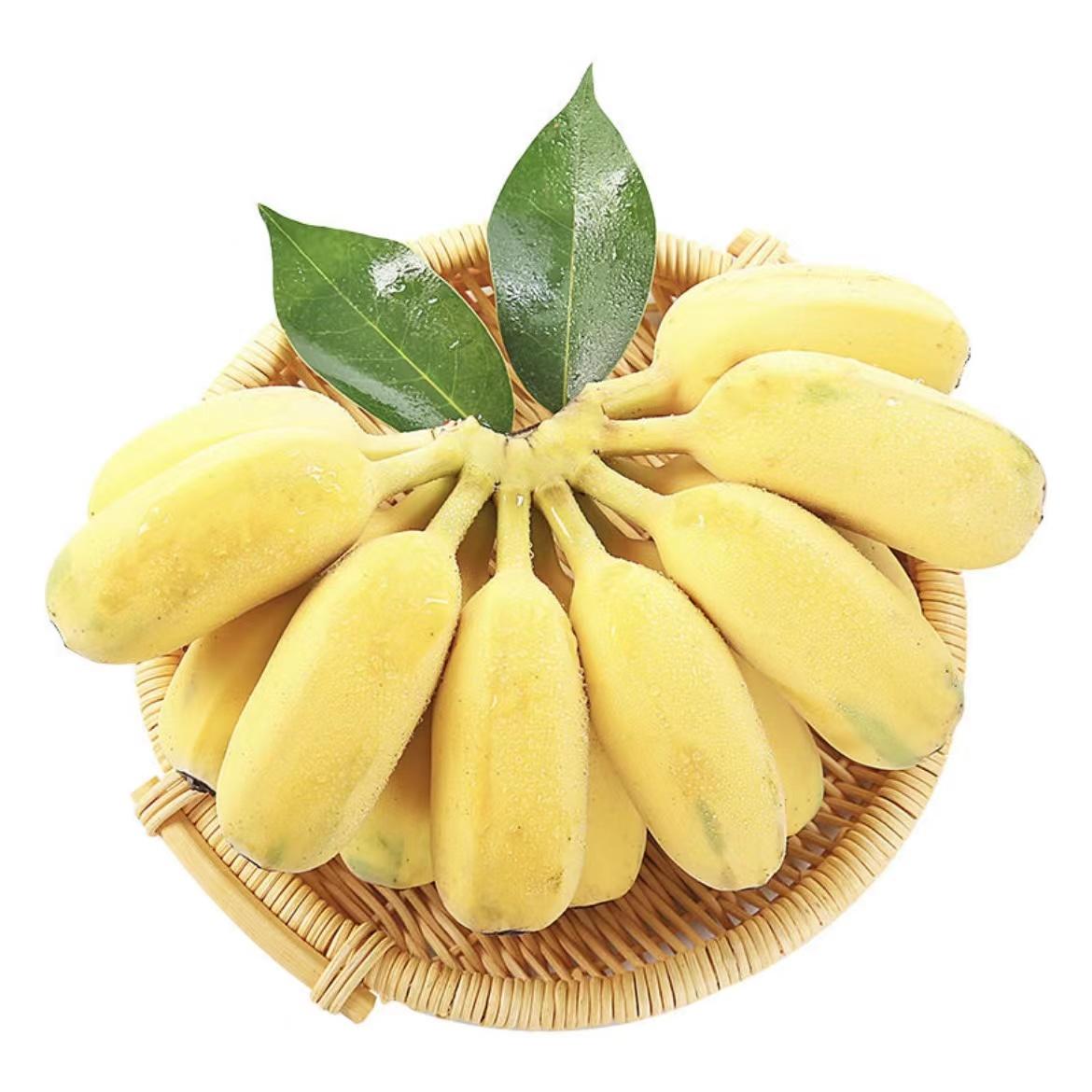 25￥香蕉 新鲜小米蕉净果9斤芭蕉海南帝王蕉banana水果苹果粉蕉200