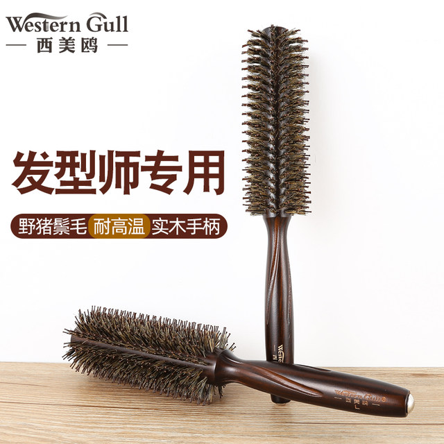 Major bristles combed combed hair salon, blowing hair curly combed ...