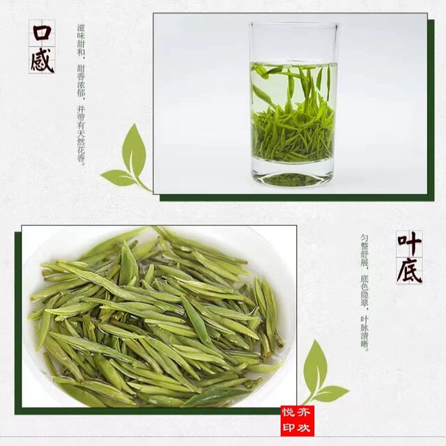 Wanghai Tea 2025 Ningbo Specialty Wanghai Tea High Mountain Green Tea 250g Gaoshan Tea + carry bag