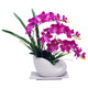 Phalaenopsis artificial flowers silk flower ornaments home living room indoor TV cabinet artificial flowers artificial flowers ornaments flowers