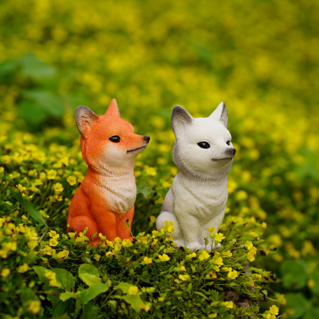 Nine -tailed fox multi -meat flower bonsai decorative ornaments outdoor micro -landscape monkey tail column landscape white fox tail
