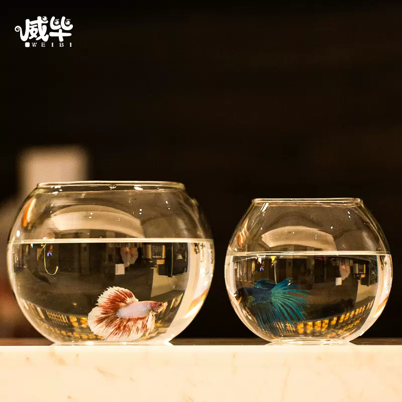 辦公室小魚缸加厚透明玻璃烏龜客廳家用桌面圓形迷你小型金魚鬥魚 Taobao