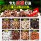 Orchid special soil nutritional soil plant material Clivia Phalaenopsis orchid soil particles high-end pine bark orchids