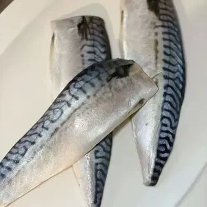 食材铺 新人首单立减十元 22年8月 淘宝海外