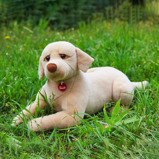 Italian trudi Labrador dog doll plush toy cute doll doll Children's Day