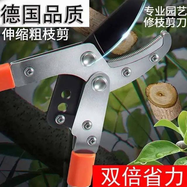 
Thick branch shears, fruit tree branch pruning shears, telescopic, powerful, labor-saving, high-branch shears, gardening shears, tea trees