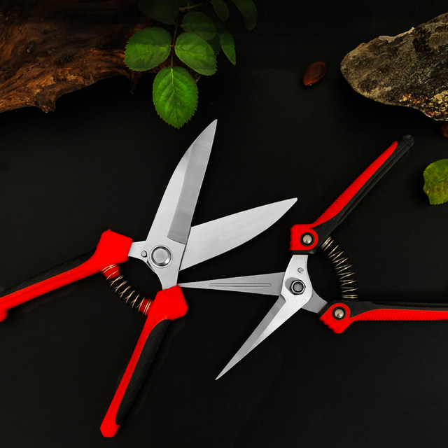 Horticultural scissors picking, scissors, round head scissors, cutting stainless steel Luo Ding new scissors scallion special
