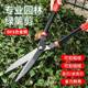 Gardening large scissors Garden flowers, flowers, trees, pruning, lawn, hedge shears, powerful pruning branches, lawn shears