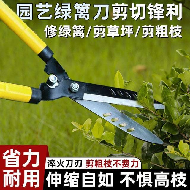 Gardening large scissors Garden flowers, flowers, trees, pruning, lawn, hedge shears, powerful pruning branches, lawn shears