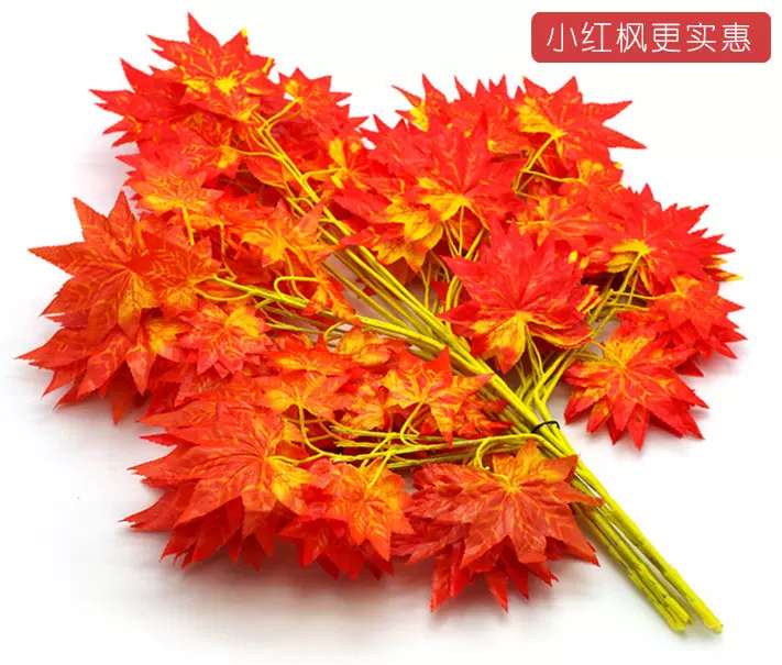 花红叶树 新人首单立减十元 21年11月 淘宝海外