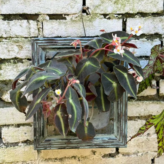 Foreign trade orphan American country style retro old blue solid wood wall hanging picture frame photo frame only wooden frame