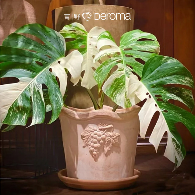 Deroma Emperor Roman Nordic Design Grape Light Luxury Retro Room Home Clampous Pot
