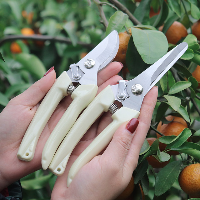Stainless steel branch pruning shears for picking fruits, flowers and trees, garden fruit trees, flower branches, grafting, gardening scissors tools