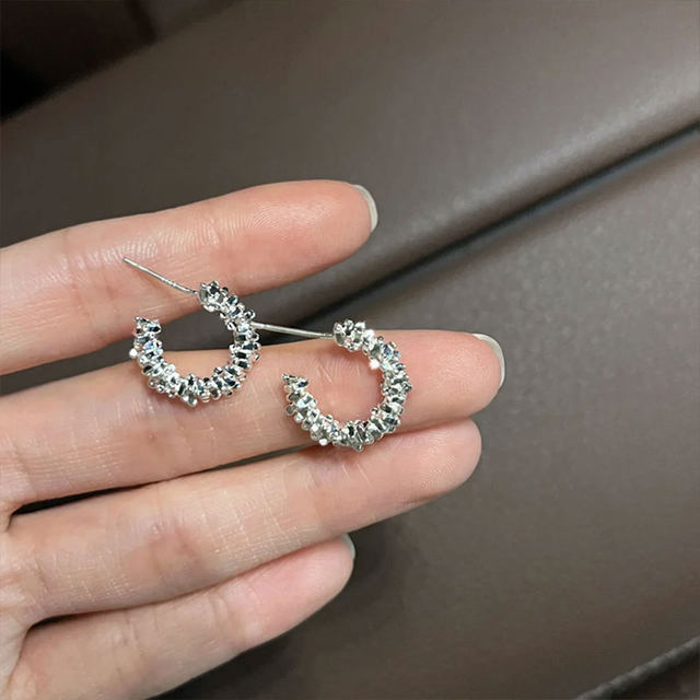 Silver Earrings for Women 2025 New High-end Earrings Temperament Niche Light Luxury Earrings Earrings Earrings
