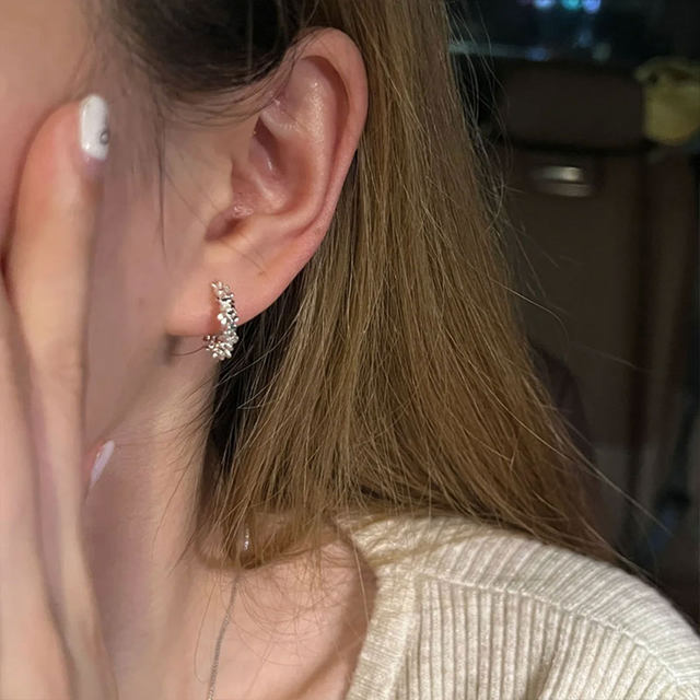 Silver Earrings for Women 2025 New High-end Earrings Temperament Niche Light Luxury Earrings Earrings Earrings
