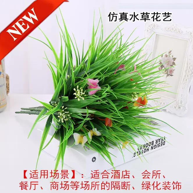 蝴蝶水草 新人首单立减十元 21年11月 淘宝海外