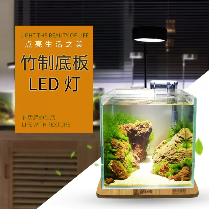 碧水风和实木植物灯小鱼缸射灯微景观平台led灯生态