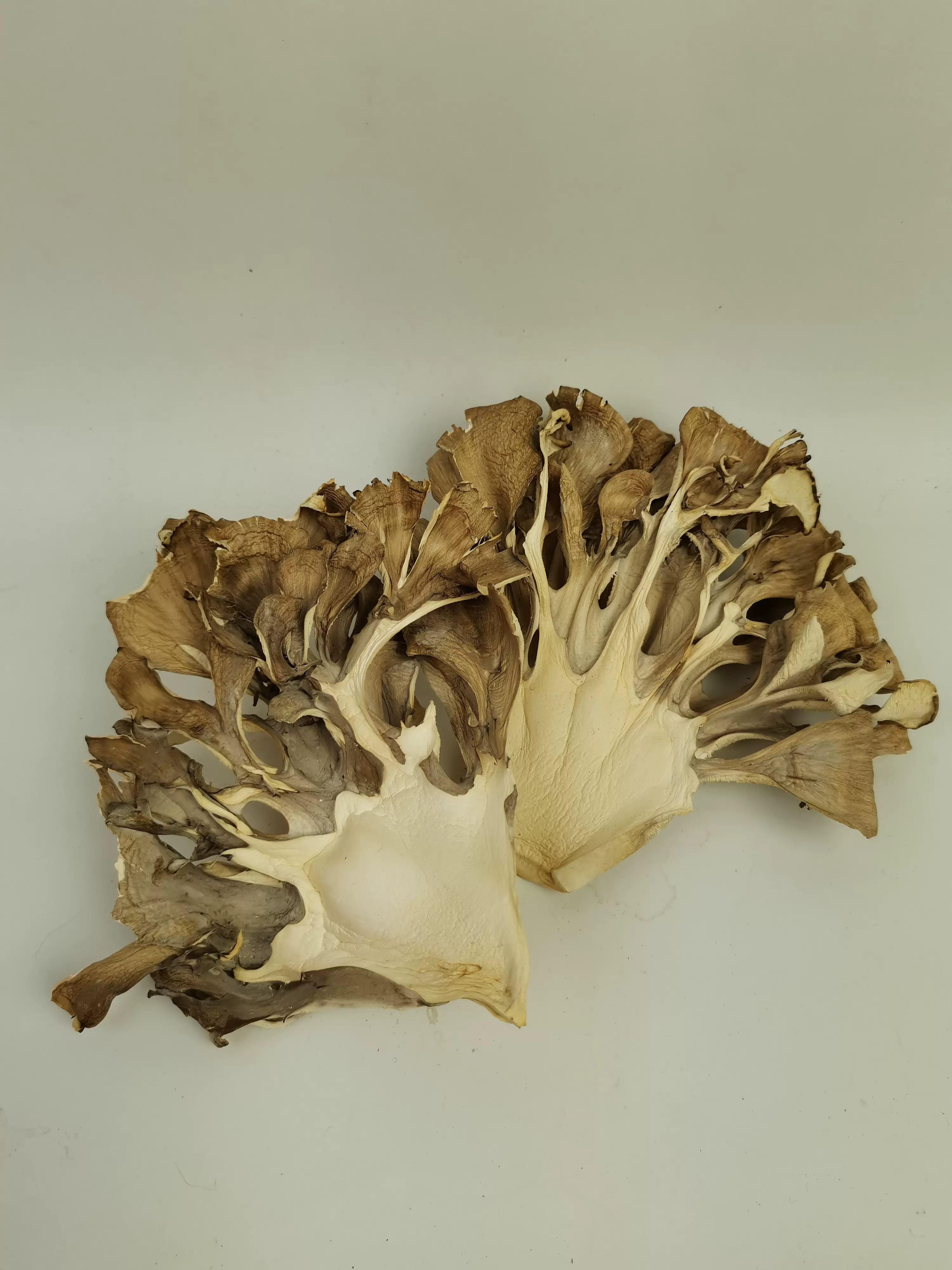 新货庆元灰树花切片500g干货无泥沙新鲜舞茸